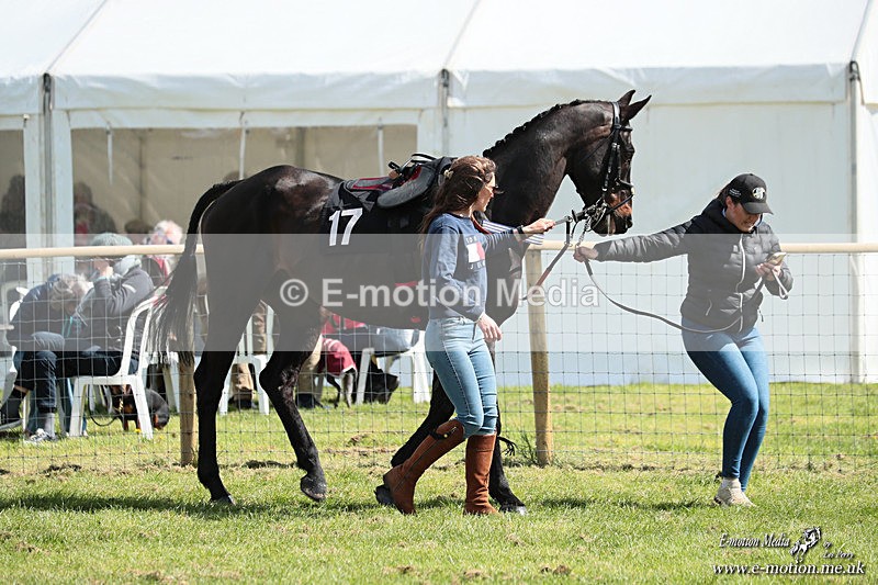 PtP 180426 175 - Worcestershire Hunt PtP Chaddesley Corbett 18/04/26