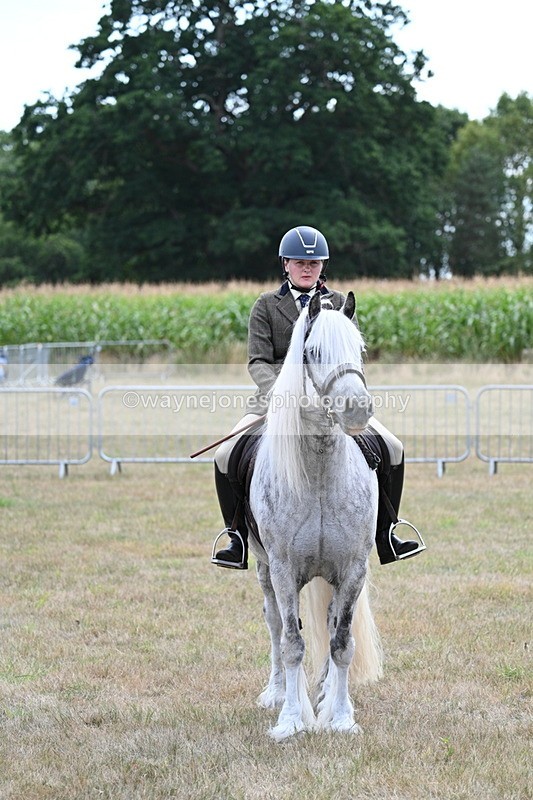 WJ7_5516 - Class 12 Ridden Cob