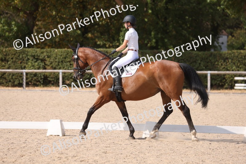 20260815-1065 - Class 6 - Novice 2