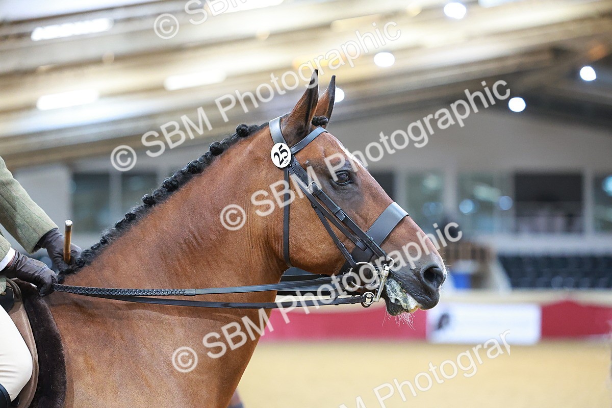 SBM_07715 - Class 101 - HOYS Veteran Qualifier - Ridden Diamond