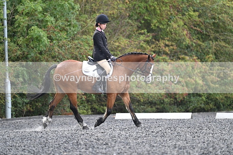 WJ7_3953 - Time 11:04 to 11:38