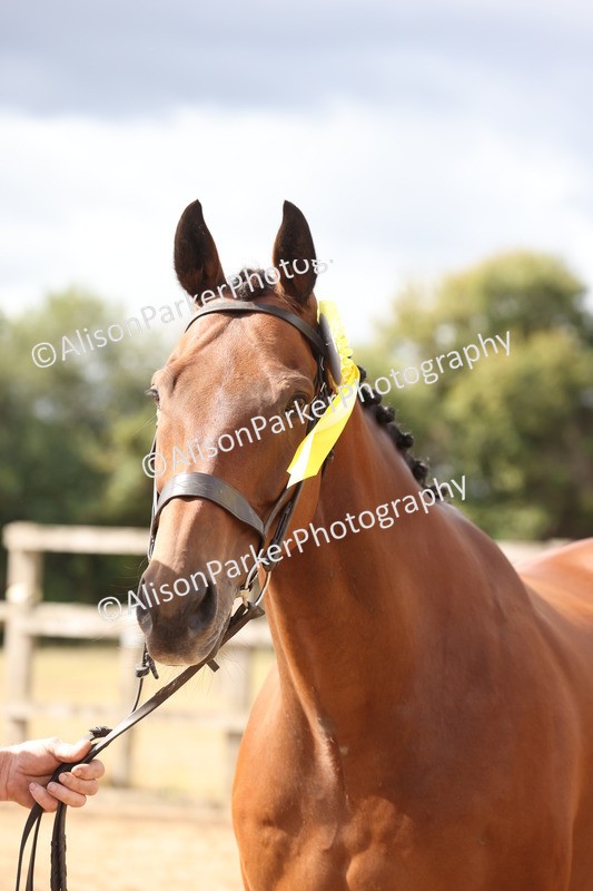 20260831-1990 - Class 5 - Retraining of Racehorses