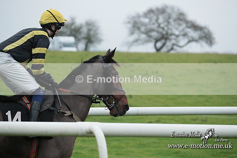 PtP 031223 640 - Wheatland Hunt PtP Chaddesley Races 03/12/23
