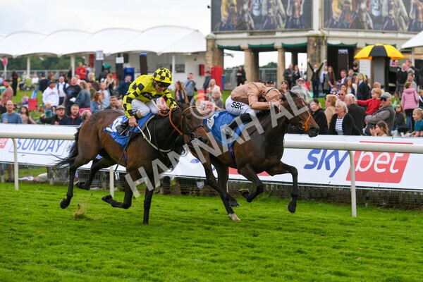 yr22052022r7-20 - Race 7: 6:40pm Sky Bet Sunday Series Fillies' and Mares Stakes