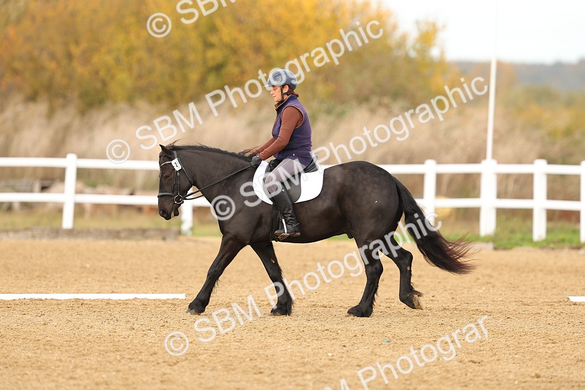 SBM_000690 - Class 3-12 - CT P2 60cm - DR P2