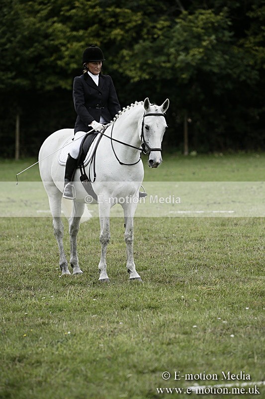 BVR080918 271 - BVRC Novice Dressage & CR 08/09/18