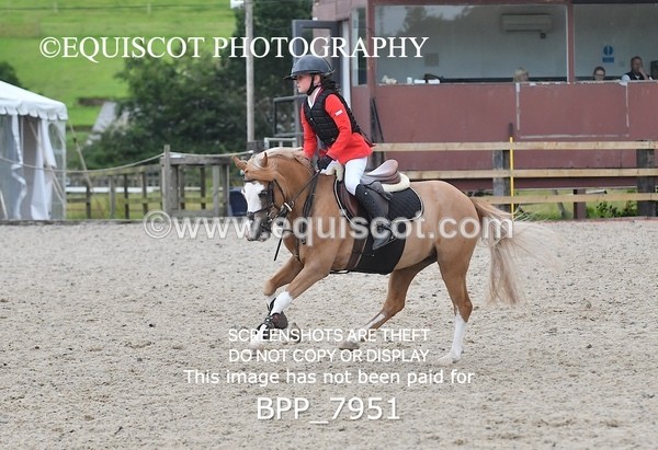BPP_7951 - CLASS 6 Springboard 128cm/ 138cm Restricted Handicap