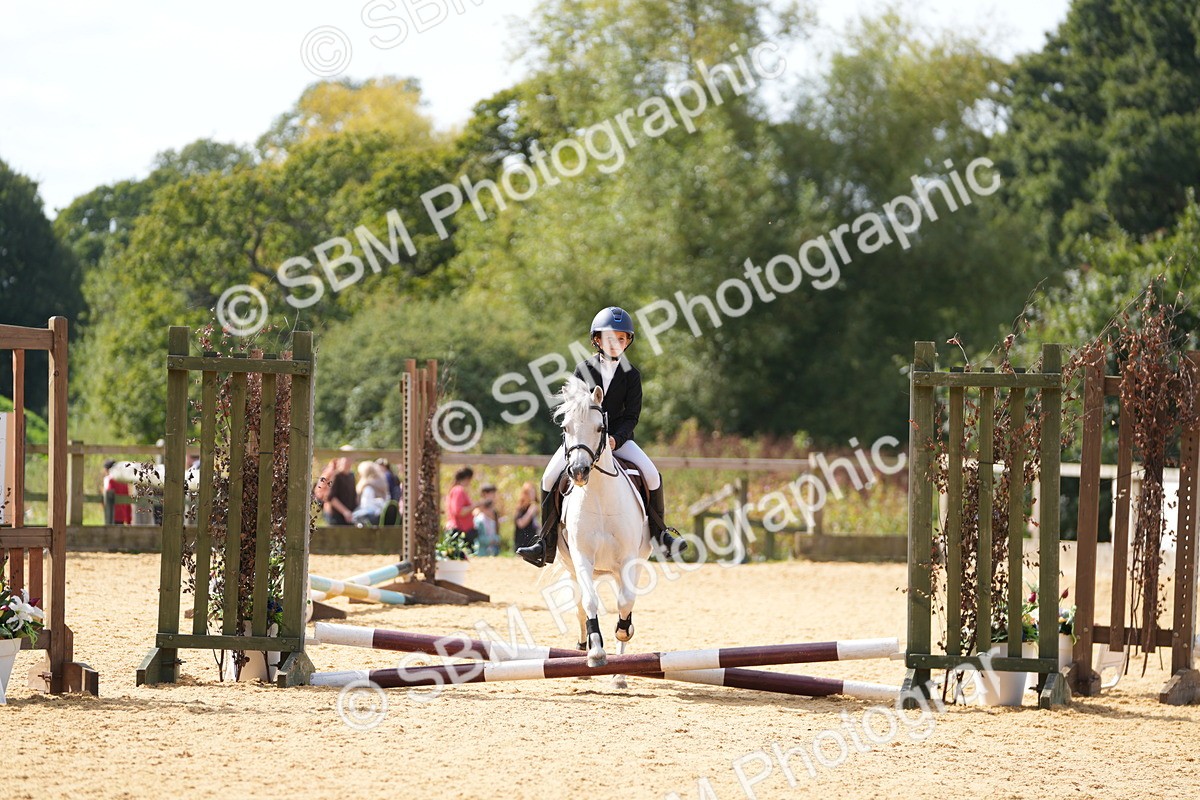 SBM_65709 - J2 - Mini Tour Junior Pony 30cm Championship