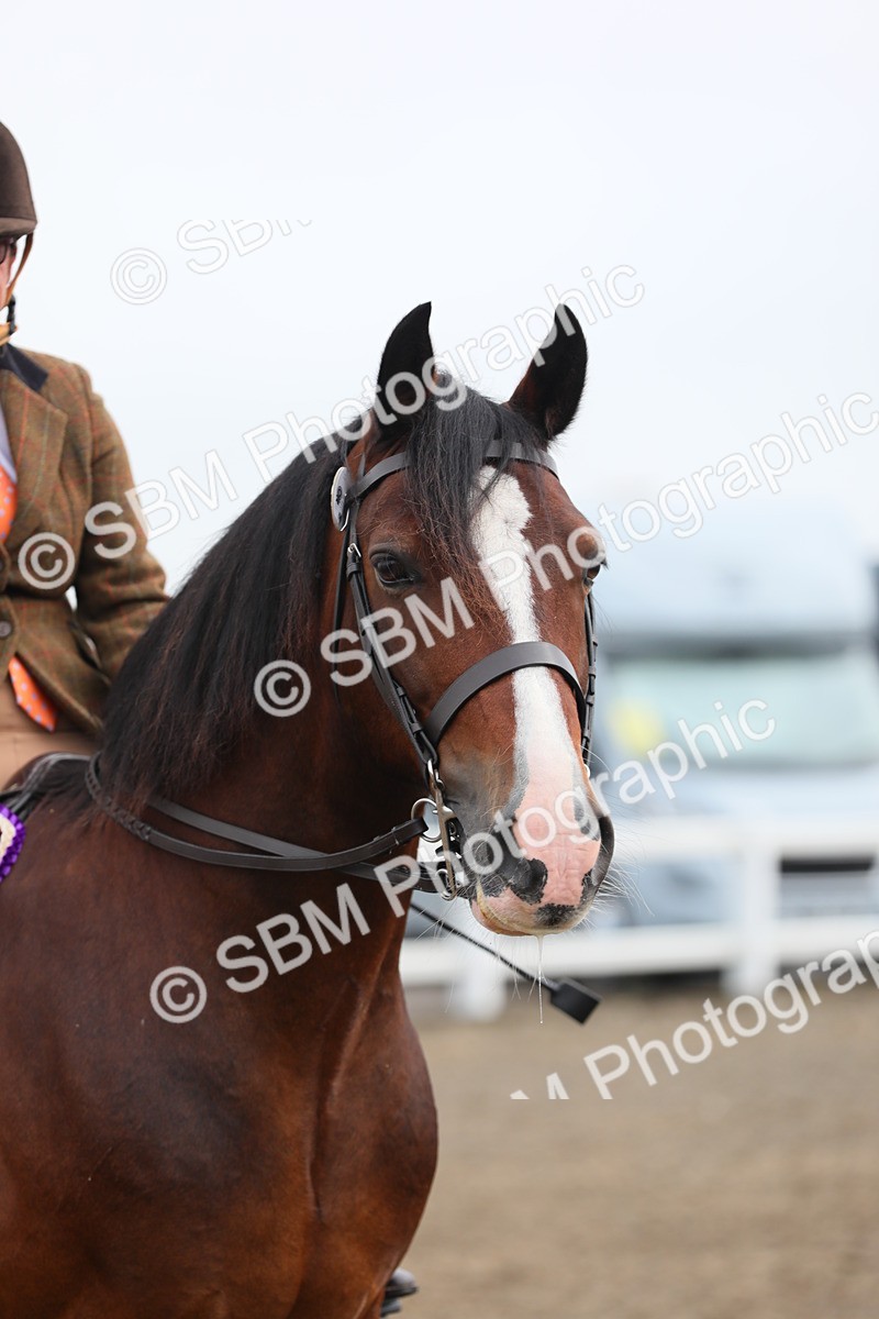 SBM_21420 - Class 805 - Ridden Veteran Horse