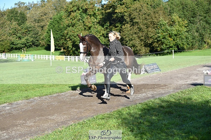 231022-103920-22644 - 440-LODOR.CARL-Katie.Mathias-TrotUp+SJ