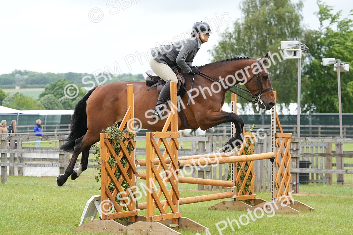 SBM_12630 - Class 97-98 - LIHS BSHA Rising Star Working Show Horse Hunter
