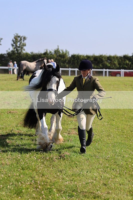 IMG_1594 - Class 30: Ridden Native/Trad Coloured Pony