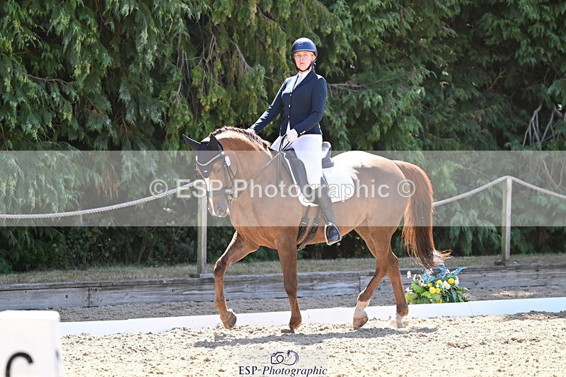 260731A-112359-00337 - Elementary Bronze 10.30 - Break