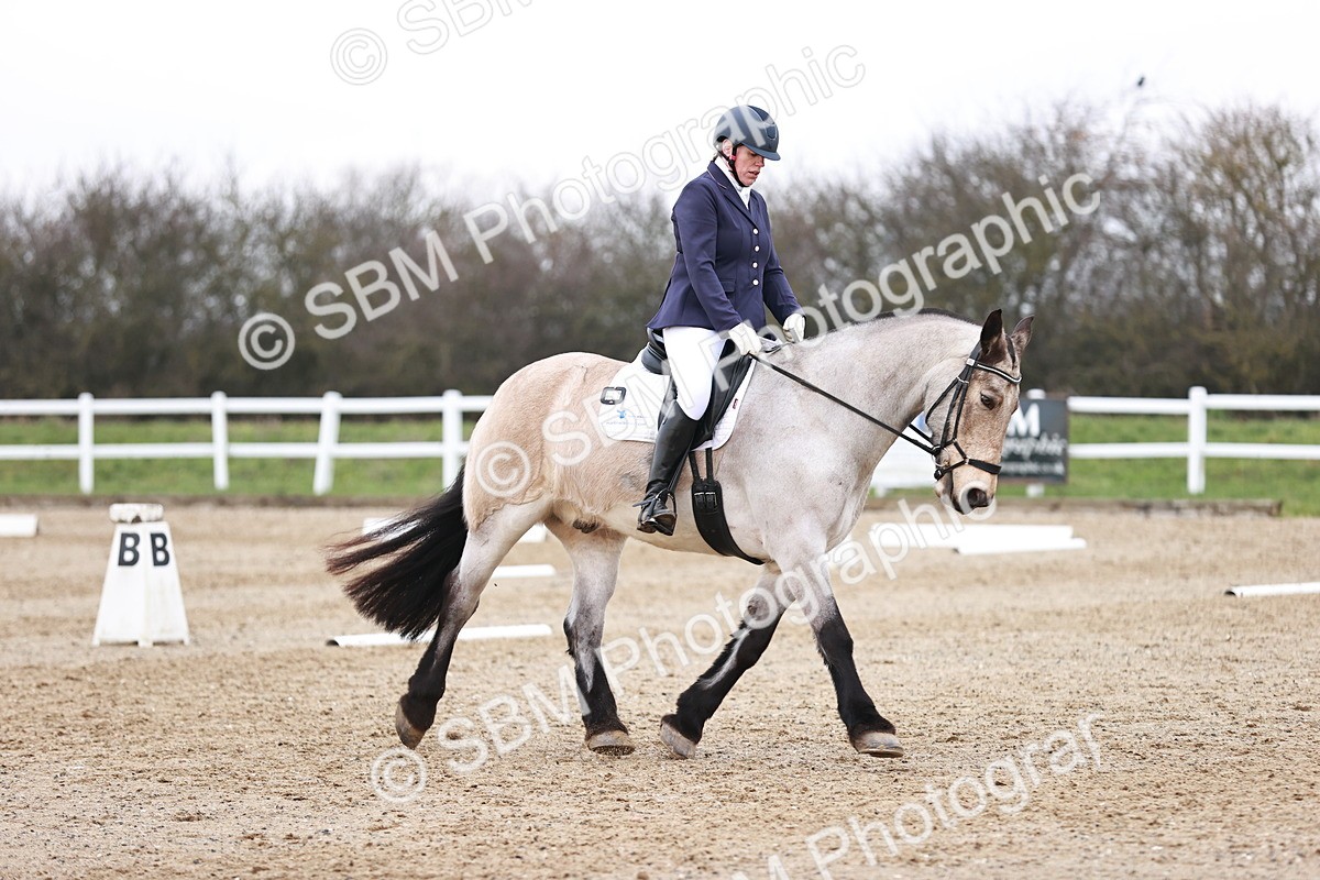 SBM_005229 - Elementary 1