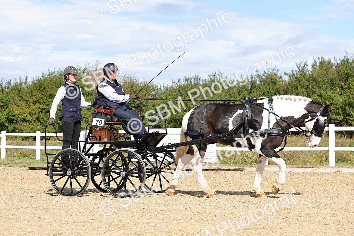 SBM_000877 - Class 8 - Novice Horse or Pony to any vehicle