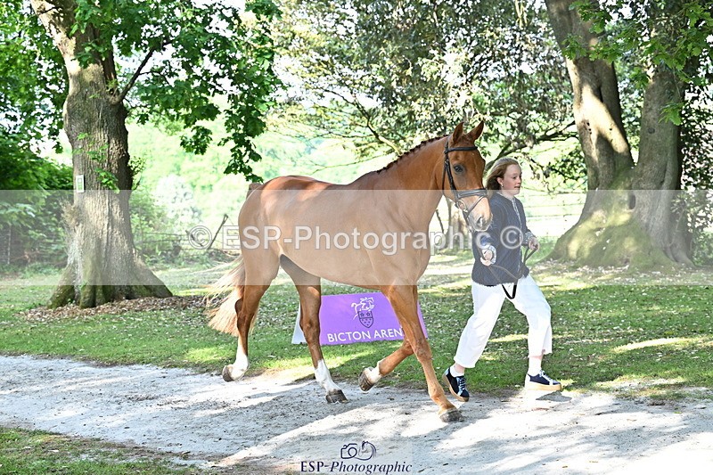 250521A-164857-01349 - C-263-Gini.Hope-PETER.PAN