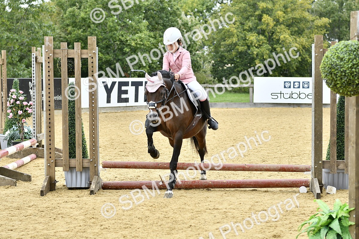 SBM_66192 - J2a mini Tour Junior Pony 30cm Championship