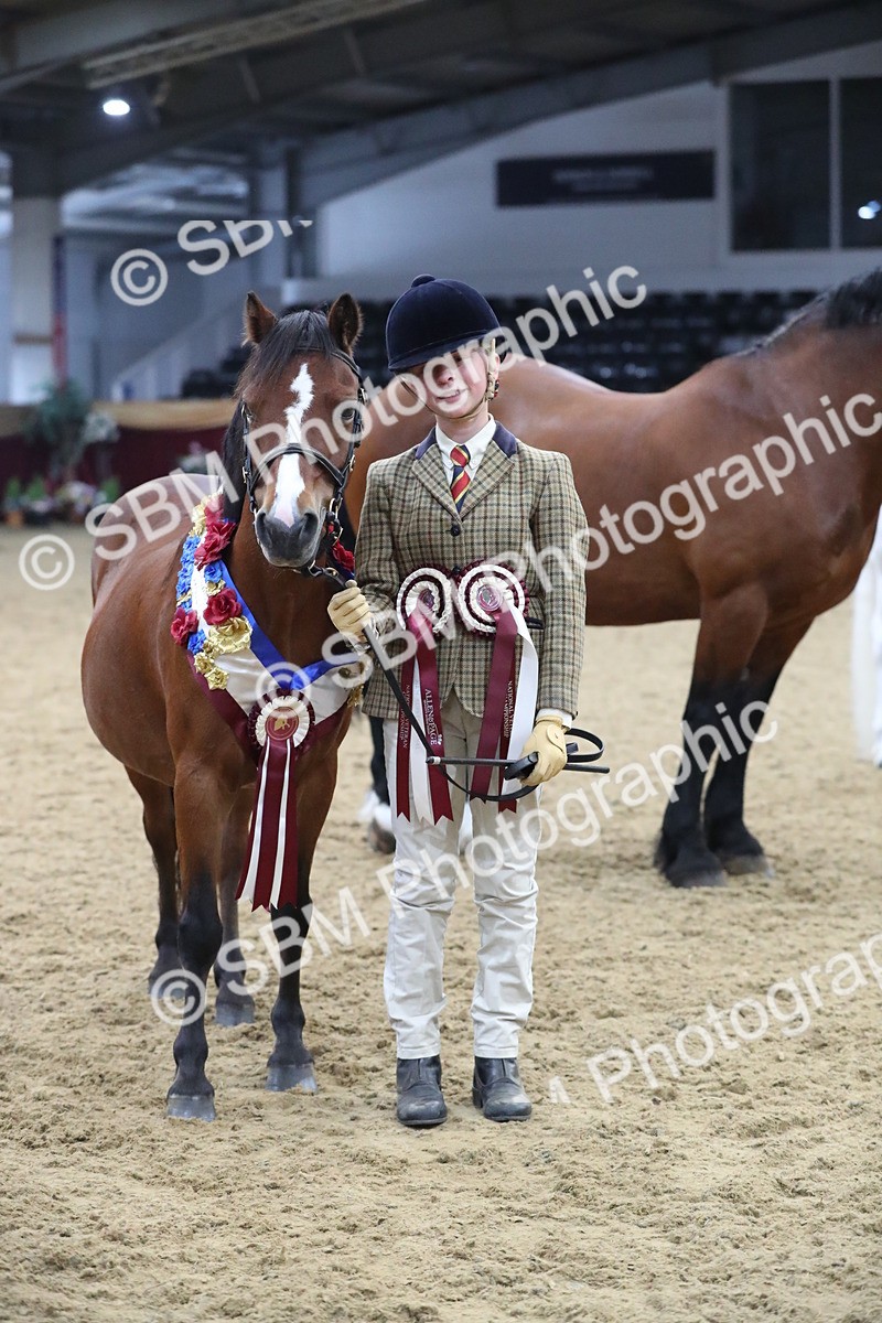 SBM_15448 - Class 501 M&M IH Supreme Final