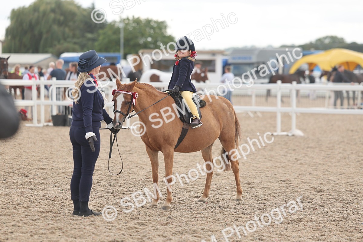 SBM_15805 - Class 309 - Lead Rein Pony