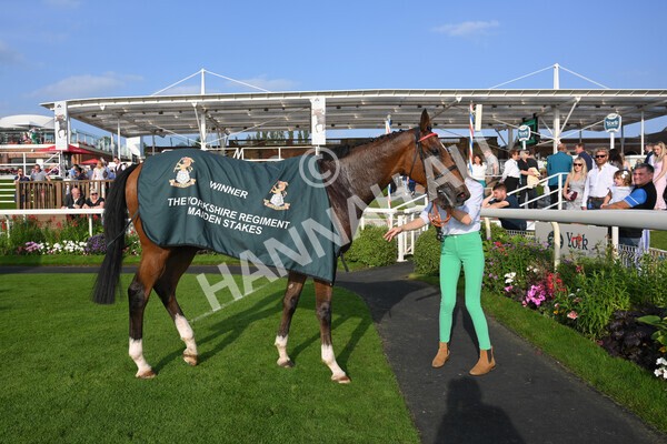 yr05092021r7-51 - Race 7 5.10pm Yorkshire Regiment Stakes