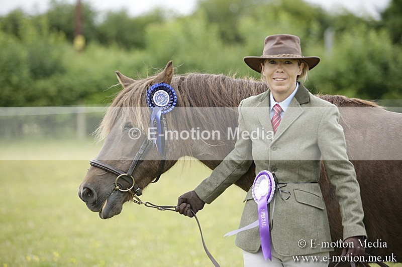 BVR160717-747 - Ring 2 BVRC Show 16/07/17