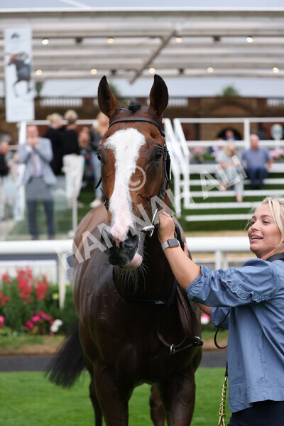 yr22072022r6-40 - Race 6 7.50pm Gallop Racing Stakes