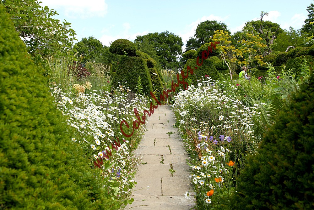 IMG_0018 - Great Dixter - Reopening Day after Lockdown