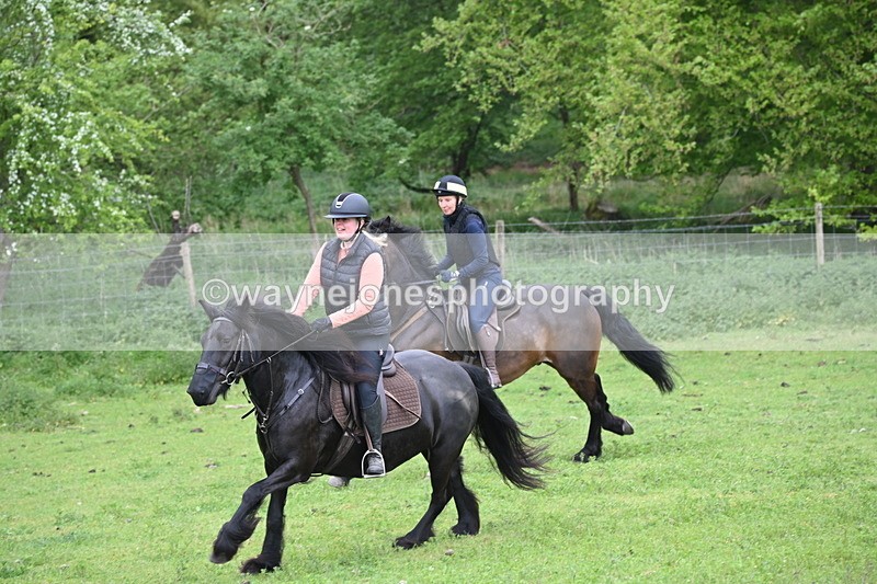 WJ6_2681 - A camera