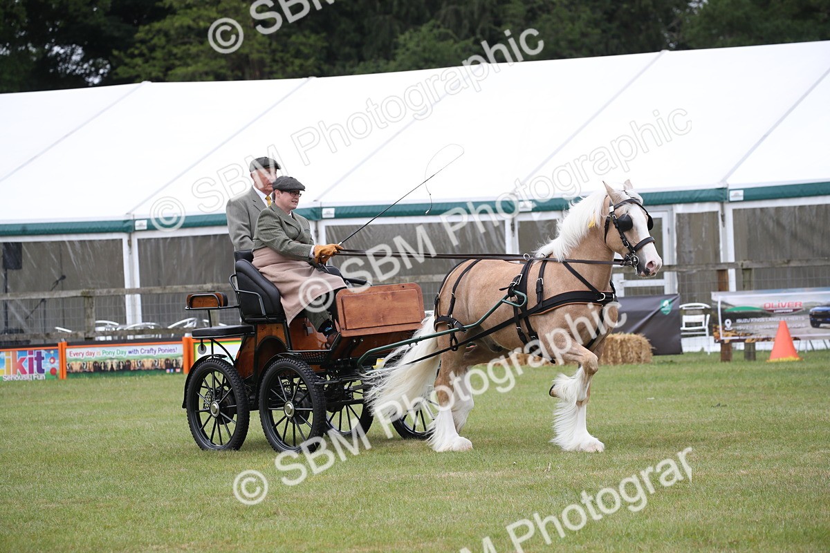 SBM_05670 - Class 12-15 - HOYS Private Driving