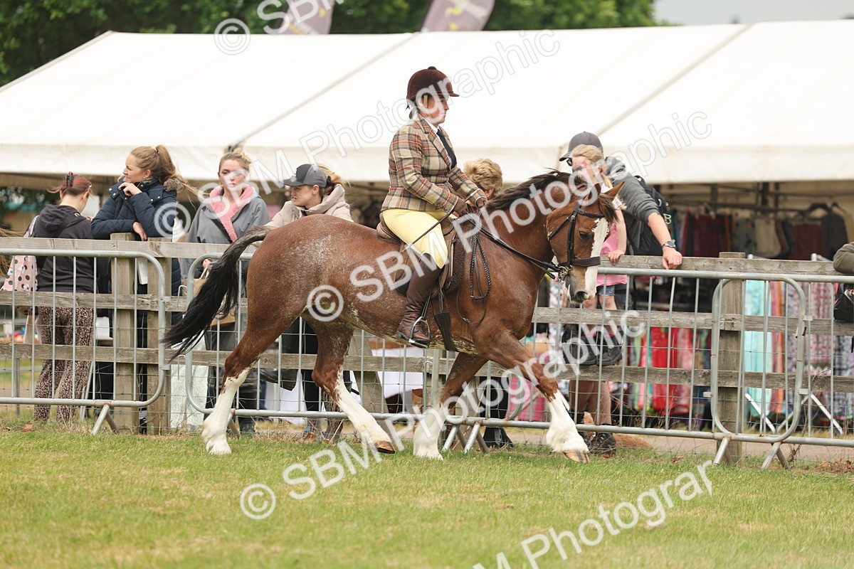 SBM_07171 - Class 76-77 - Ridden M&M Welsh Ponies