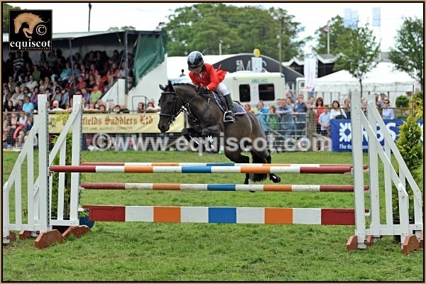 equiscot 5014 equiscot SANDY MCLEAN MADONNA - 2012 PRIZEWINNERS INDIVIDUAL PICS