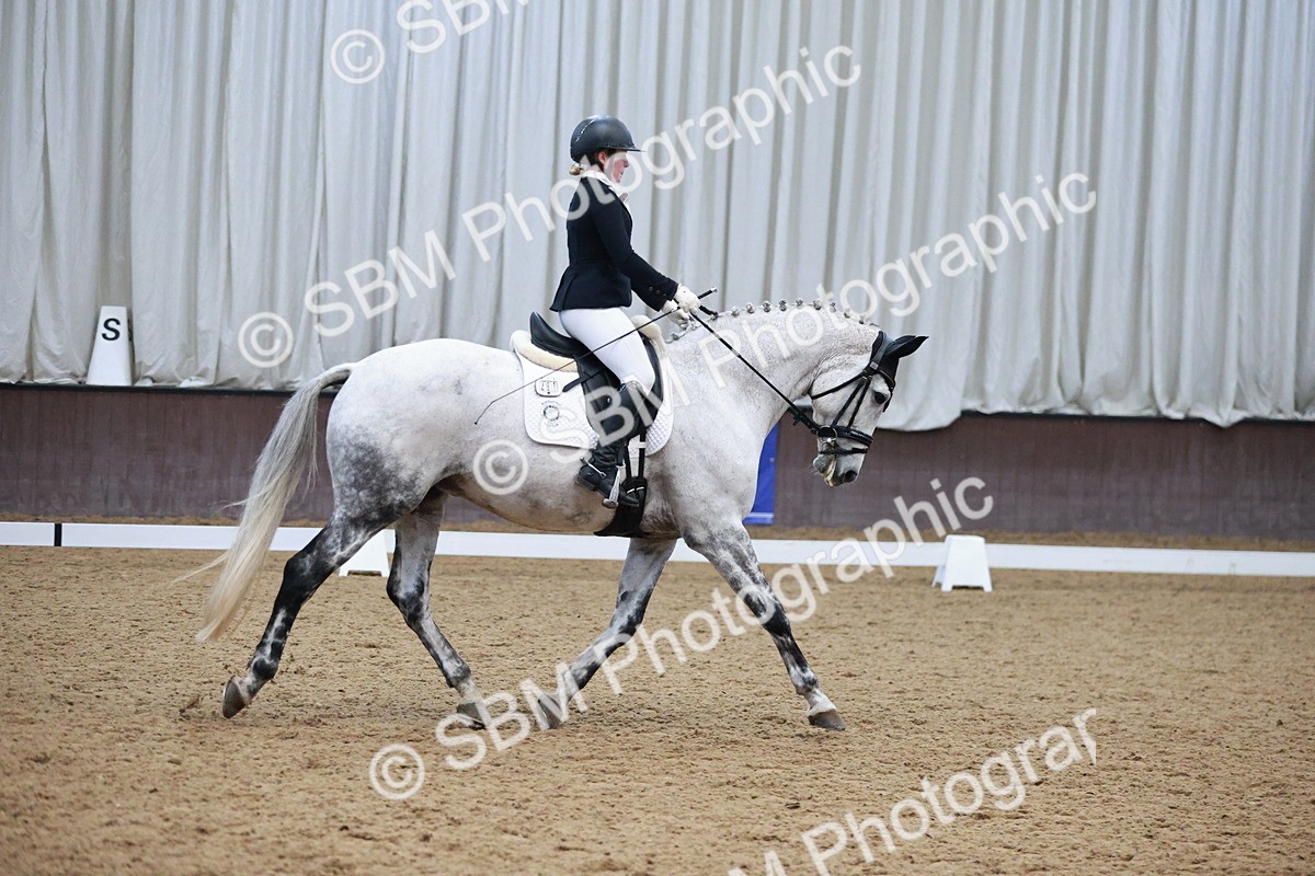 SBM_004522 - Ring 3 - International -  Working Hunter Classes 23-2-25