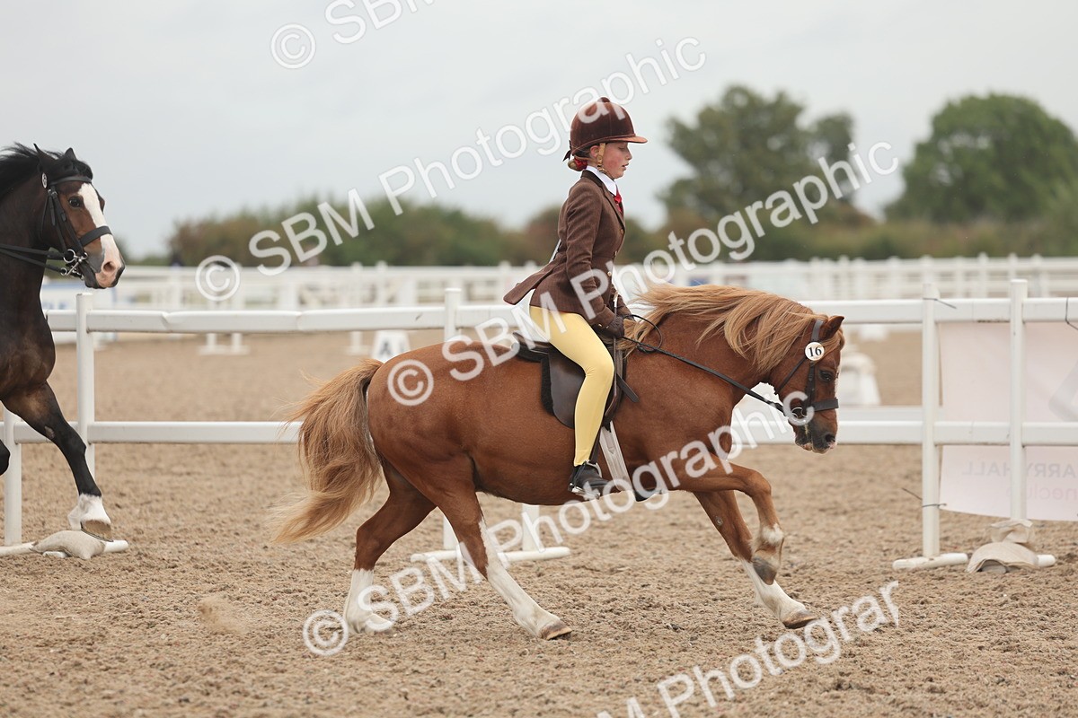 SBM_01894 - Class 14 - Ridden M&M Wildcard