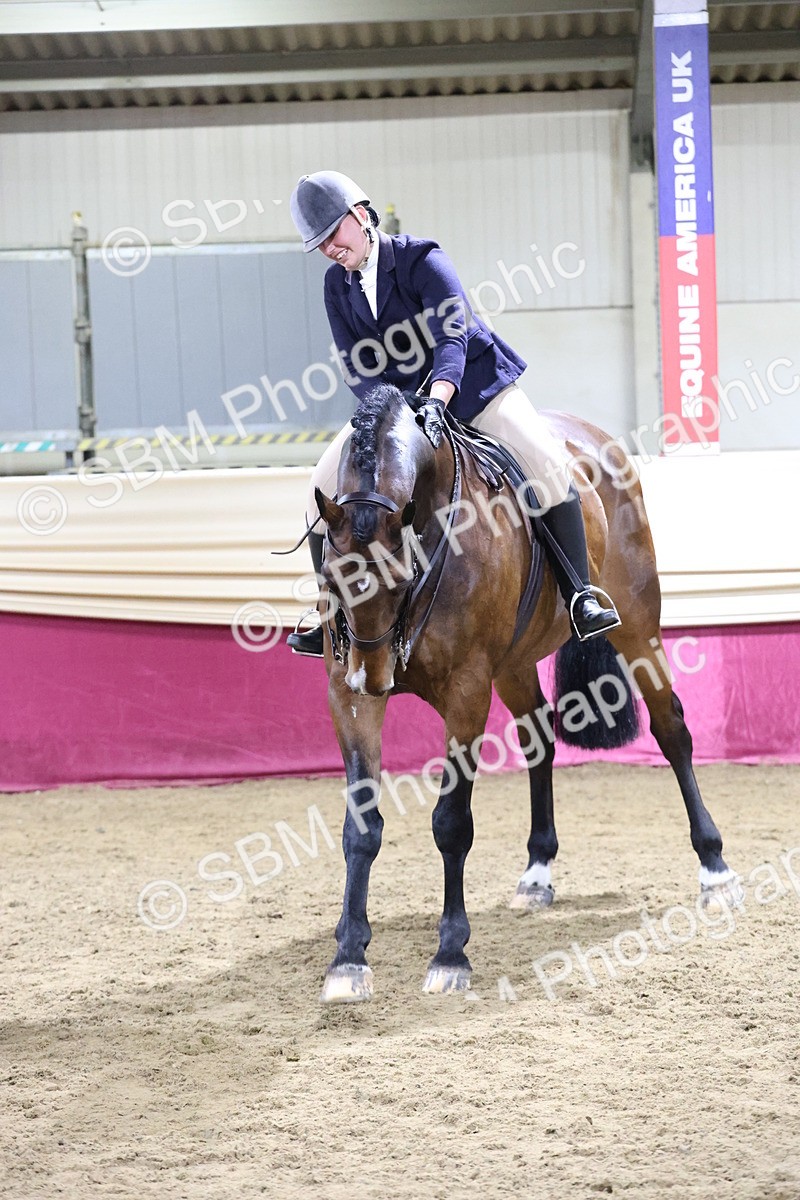 SBM_21190 - class Q - Ridden Horse Champ