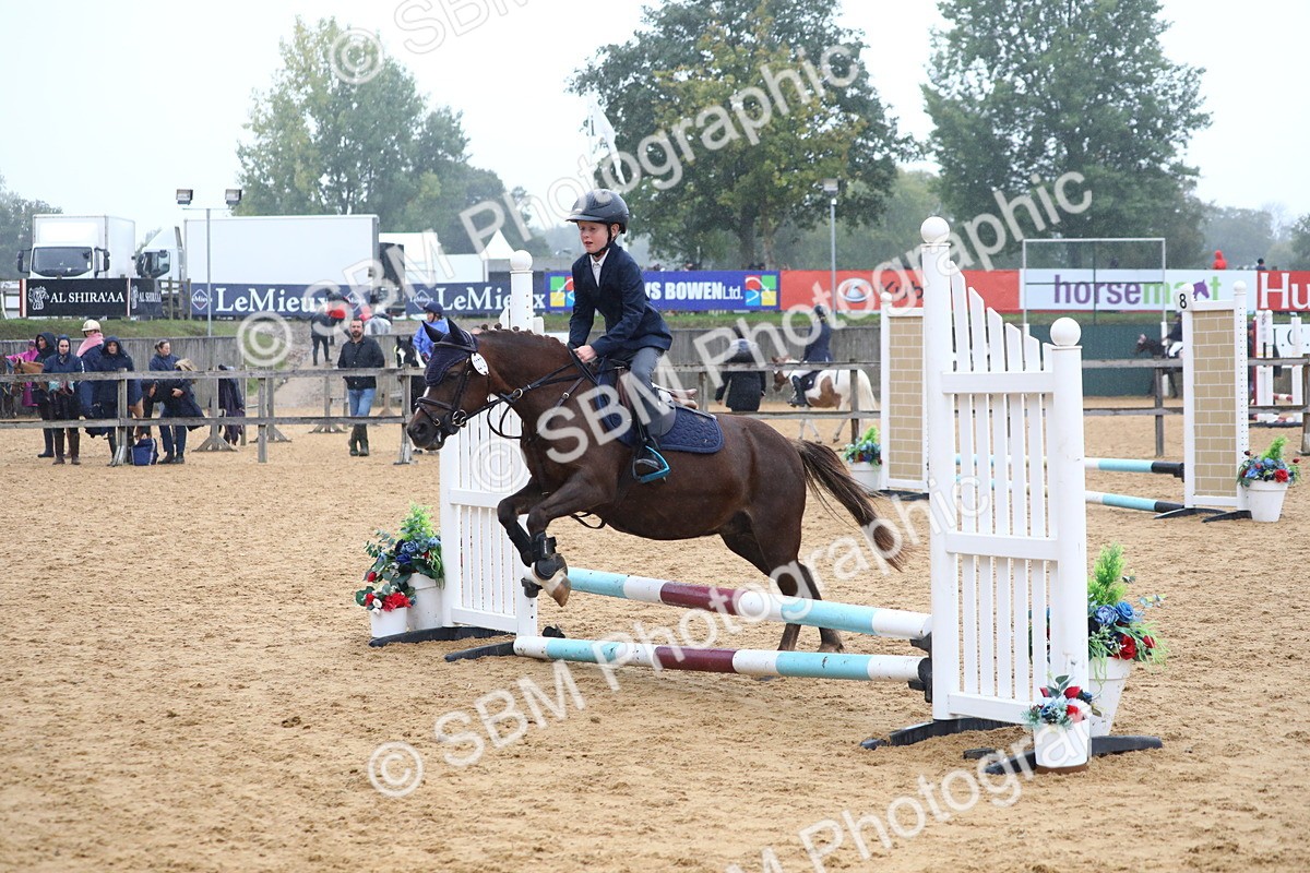 SBM_71722 - J4 - Mini Tour Junior Pony 45cm Championship