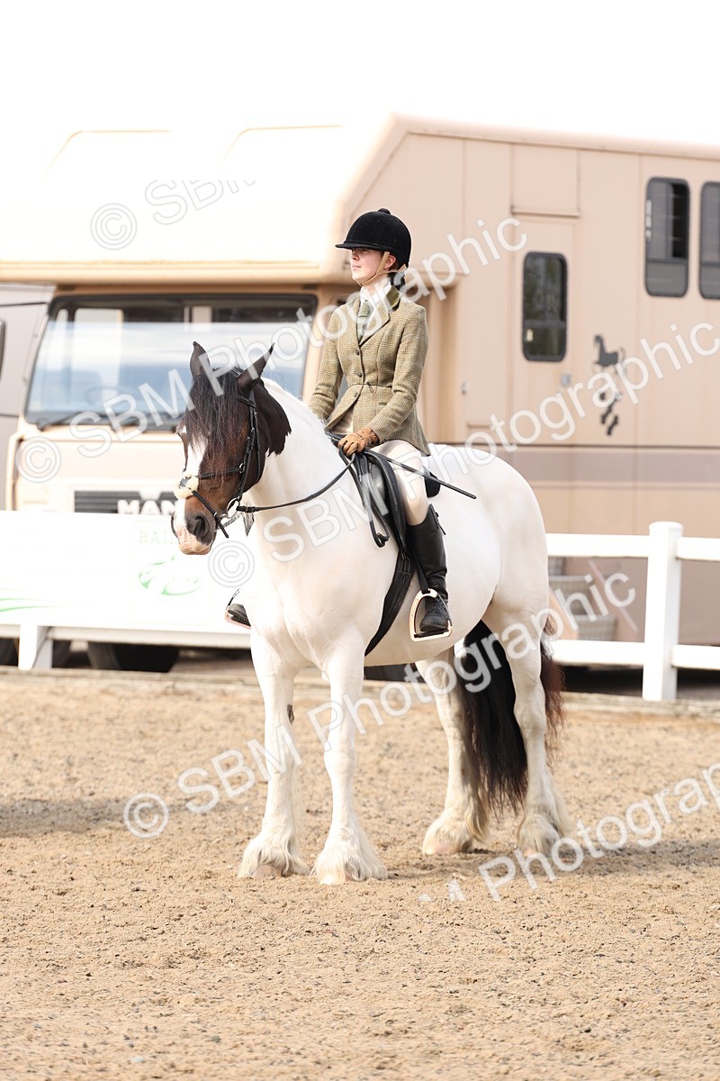 SBM_06807 - Class 58a -  Style & Performance - 70cm (15-19)