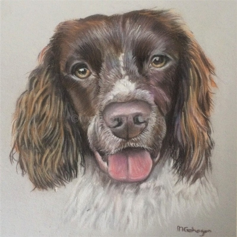  - Pet Portraits