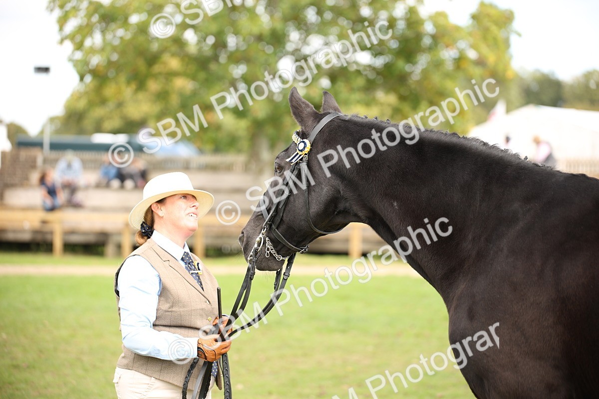 SBM_46343 - S25 - Mature Veteran In Hand