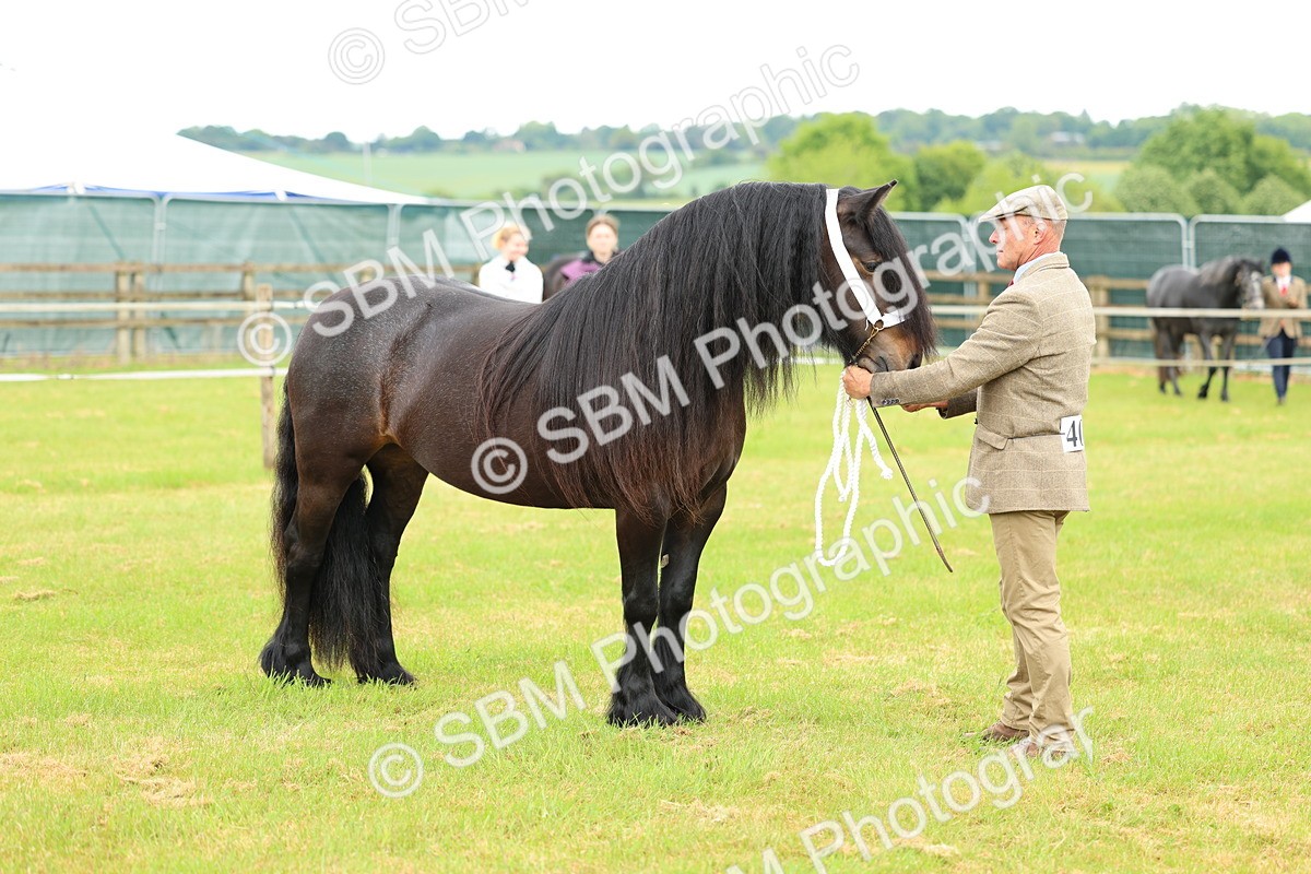 SBM_00550 - Class 58-67 - M&M Non Welsh Pony In hand