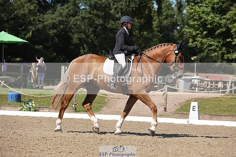 240719-103643-00744 - 223-Deborah_Randall-Sandy's_Bertie