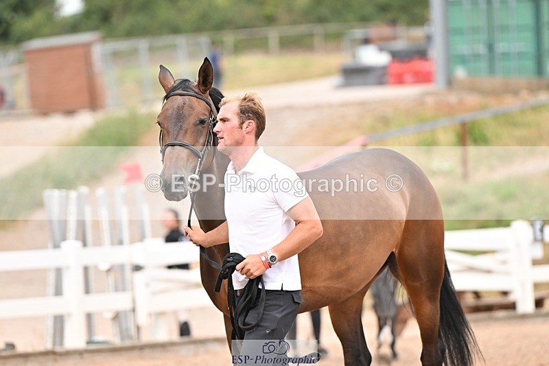 250716-154338-02167 - Trot Up 3.30 to 4.30