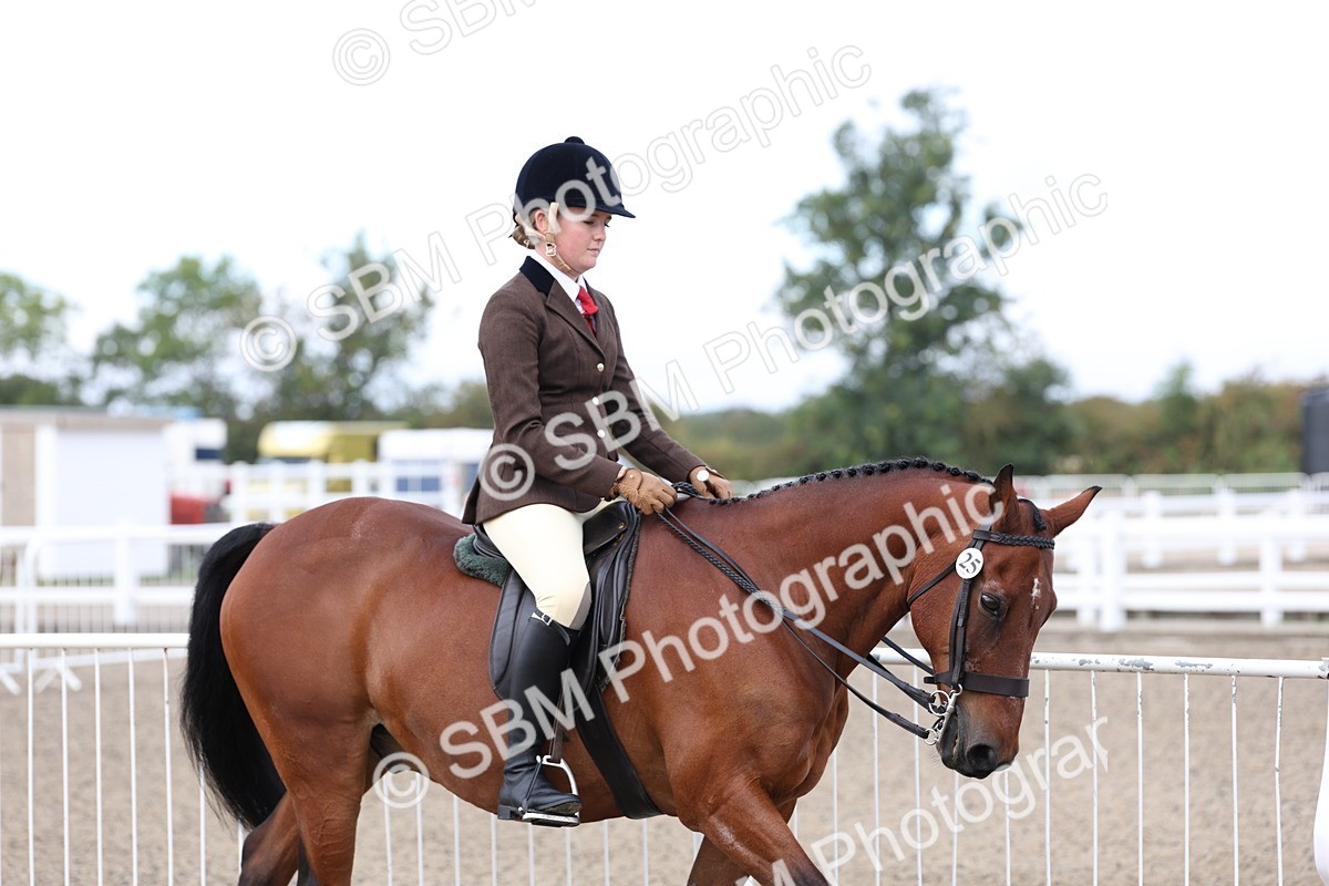 SBM_01453 - Class 52 - Ridden Veteran