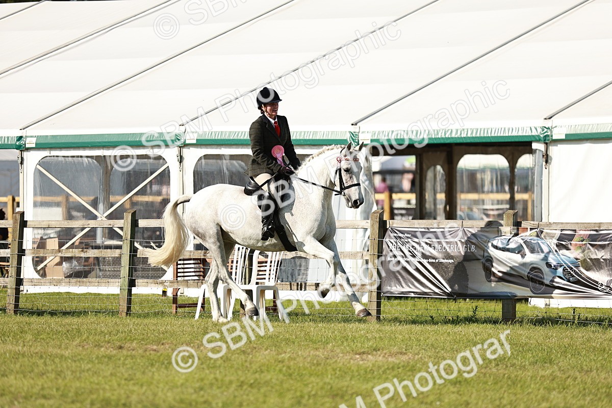SBM_19348 - Class 115-116 - LIHS BSHA Rising Star Working Hunter & Show Horse