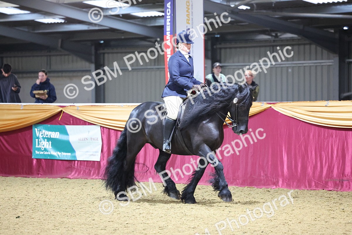SBM_19277 - Class K Equitation Champ