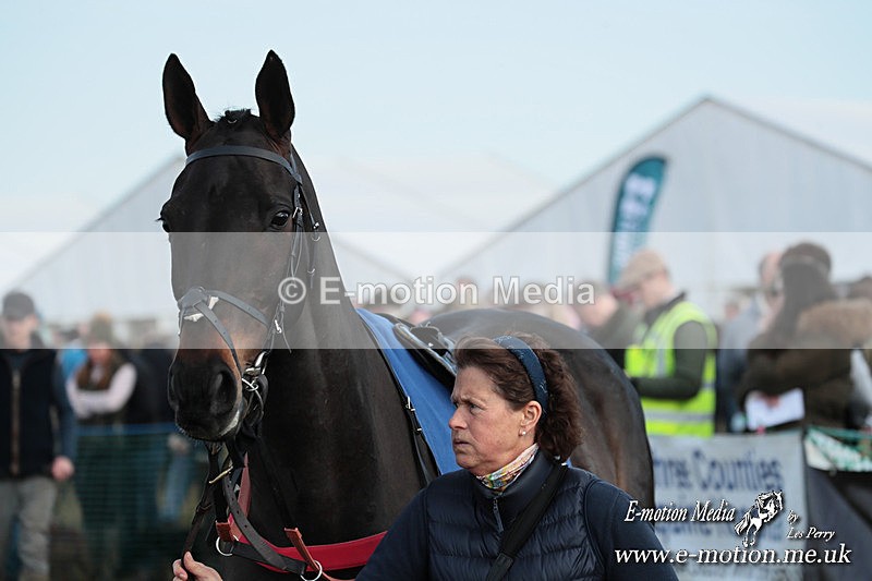 PtP 010325 542 - Beaufort Races Didmarton 01/03/25
