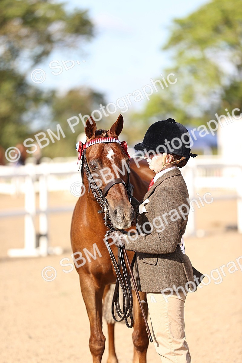 SBM_08533 - Class 402 - IH Veteran Pony