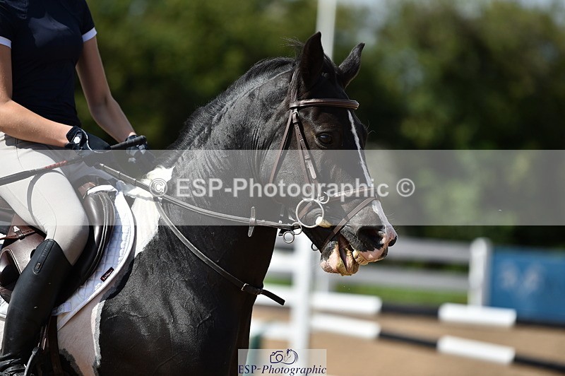 230903A-135134-04925 - Cls 20 Pony Newcomers & 1m Open