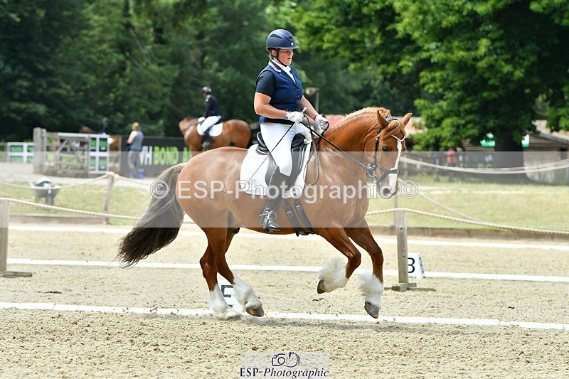 230623-130236-00781 - Cls 3 Novice 23 12.10 to End