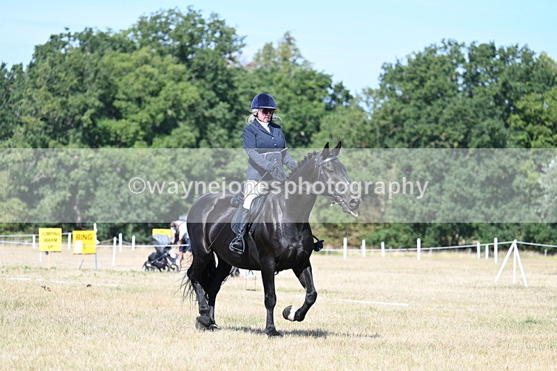 WJ7_9868 - Time 11:03 to 11:28