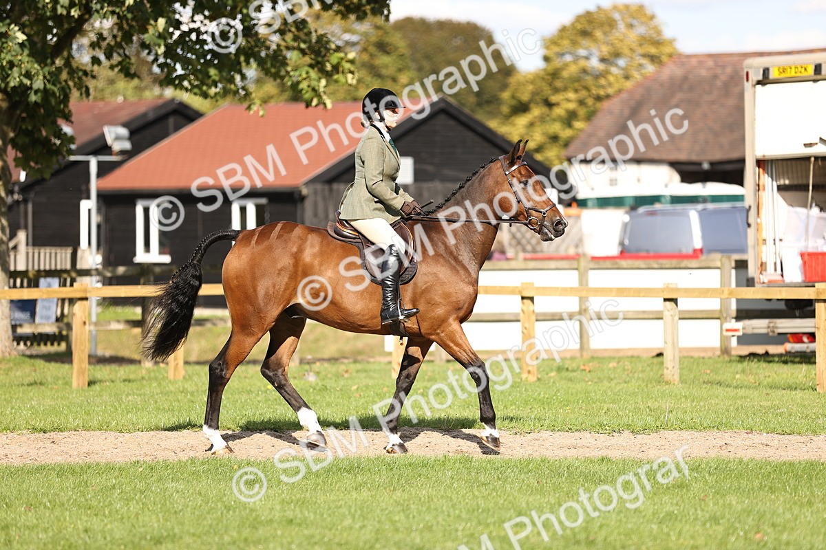 SBM_26325 - S6 - Novice & Newcomers Ridden Horse